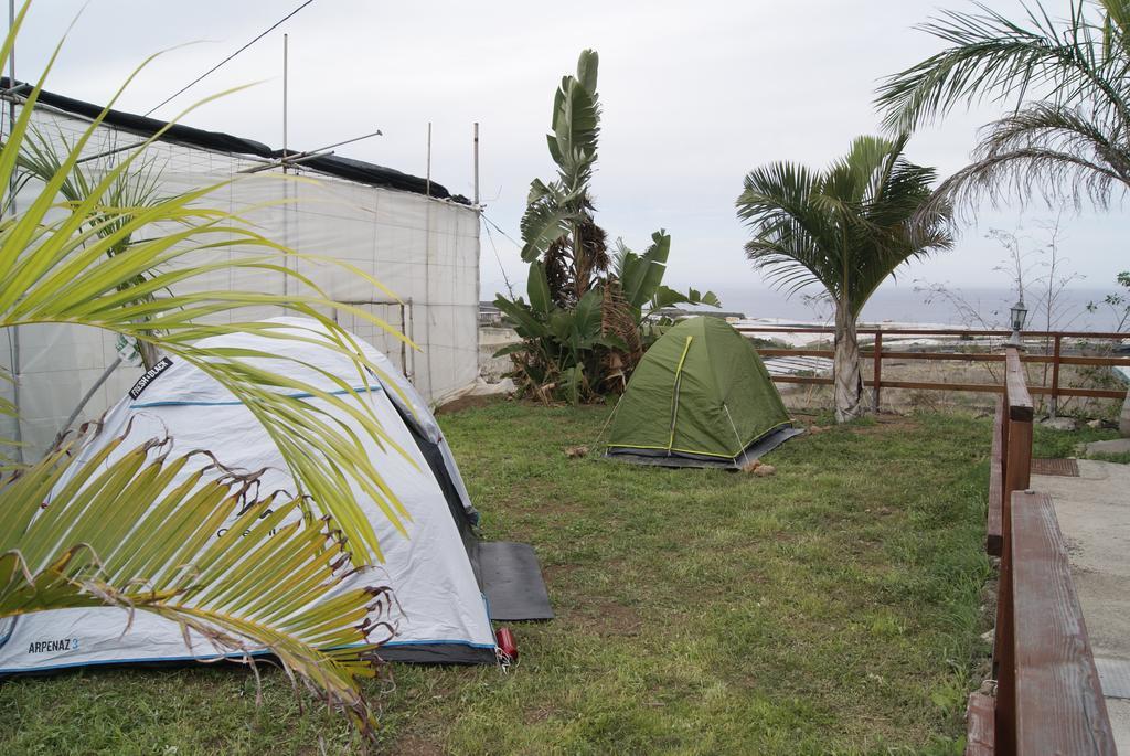 Tejina Camping Invernaderito المظهر الخارجي الصورة