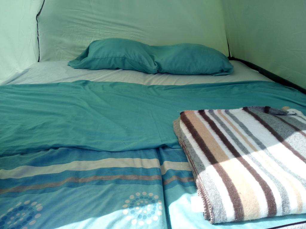 Tejina Camping Invernaderito المظهر الخارجي الصورة